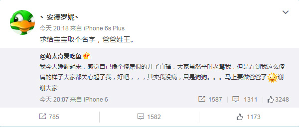 业界八卦 会长板娘将会有一个炉石宝宝